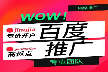热门信息流广告投放公司案例分析